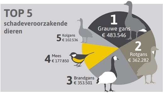 schadeveroorzakende dieren